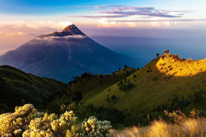 哪里有卖进口打胎药药店多少钱？网